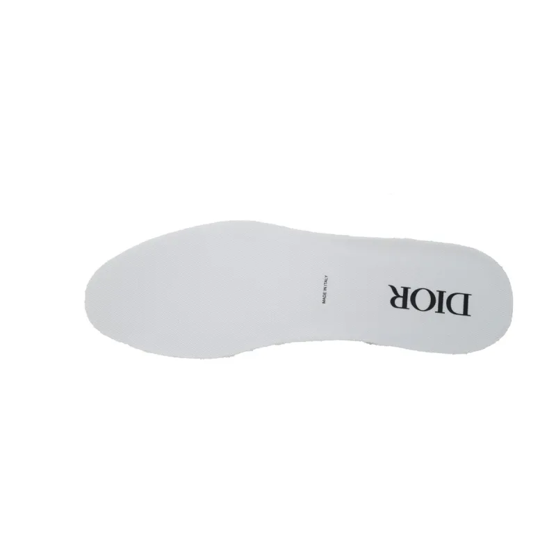 Dior B22 Silver Black