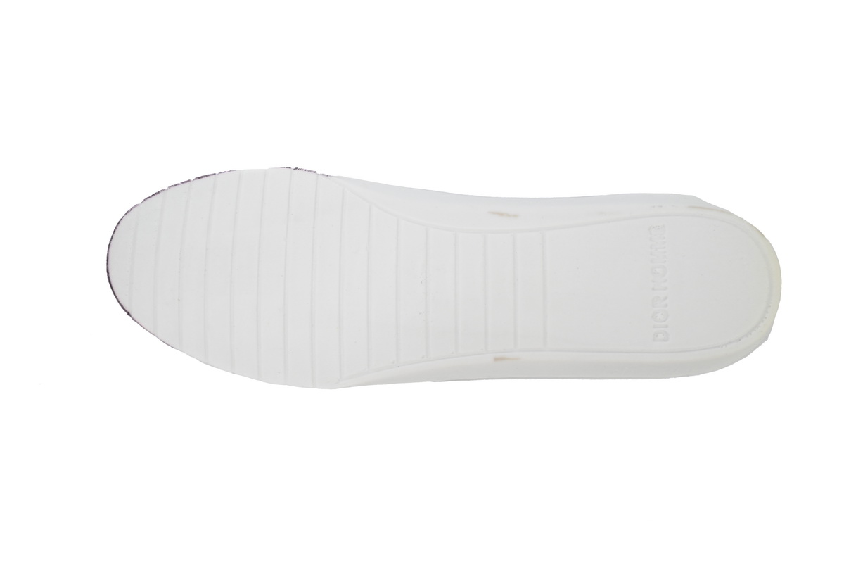 Dior B22 White Black