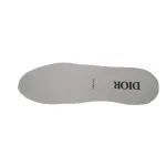Dior B22 White Black