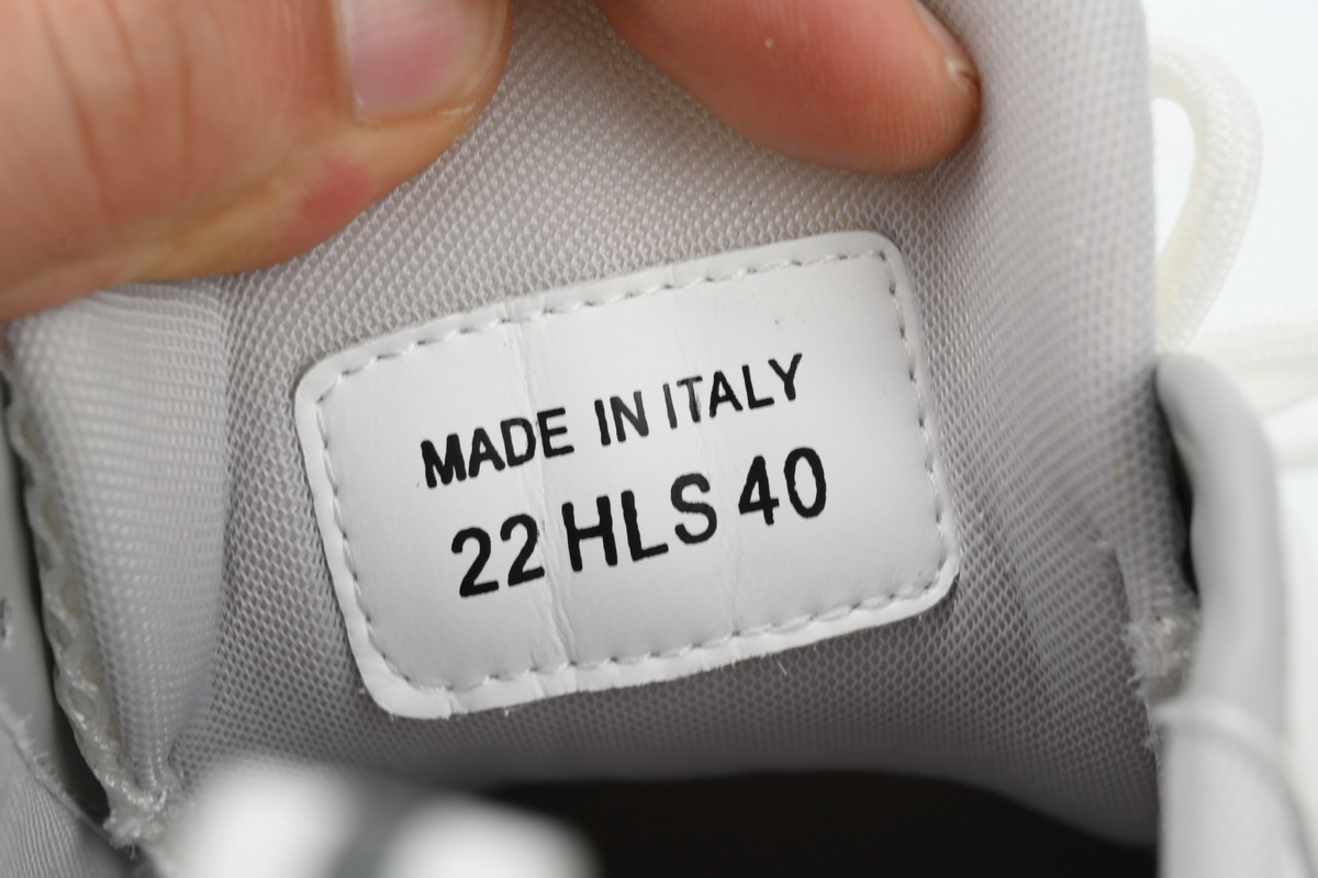 Dior B22 White Black