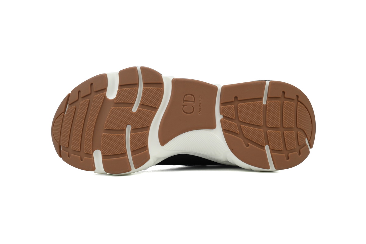 Dior B22 White Black