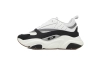   Dior B22 White Black