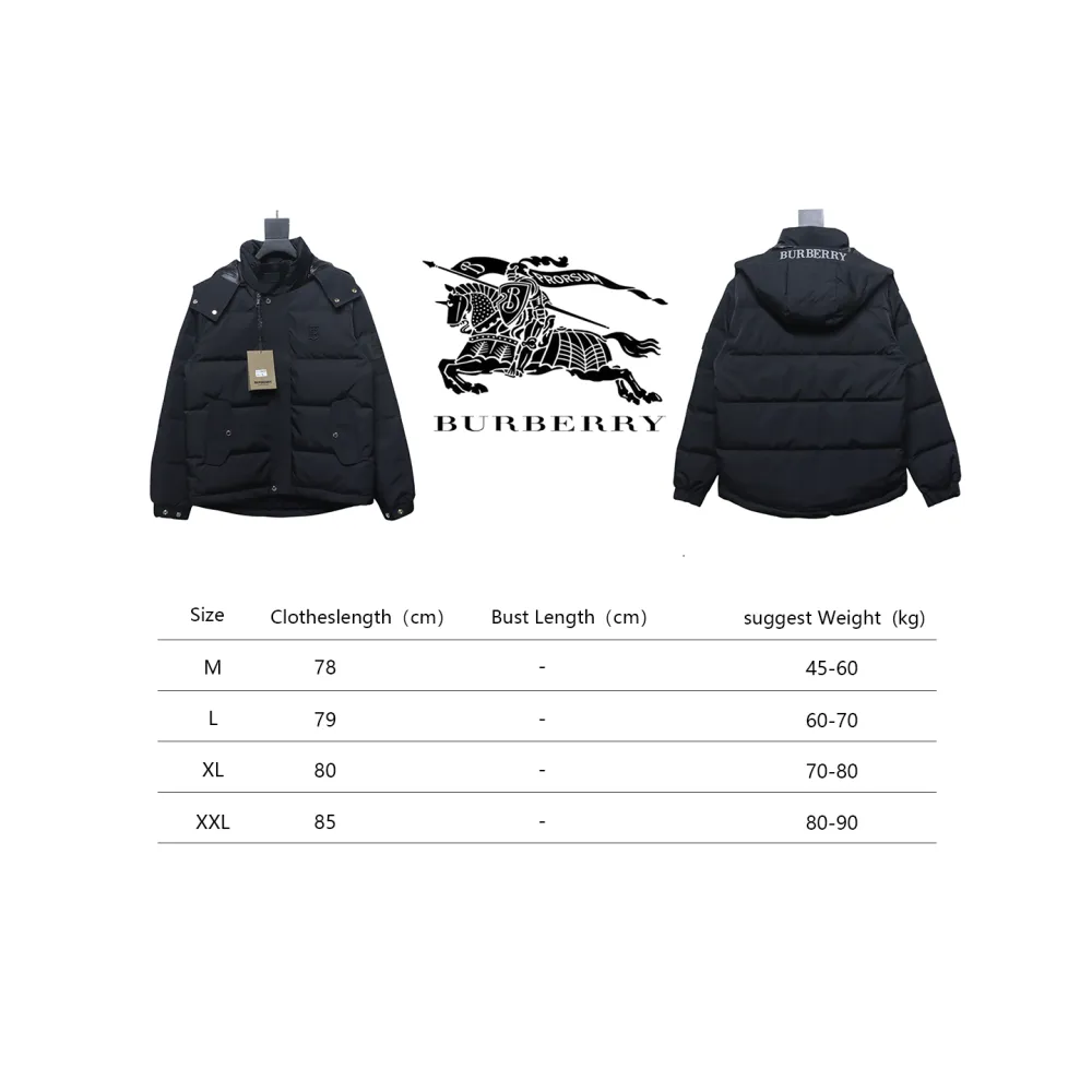 Top Quality Burberry 22FW Hooded Down Jacket Black 