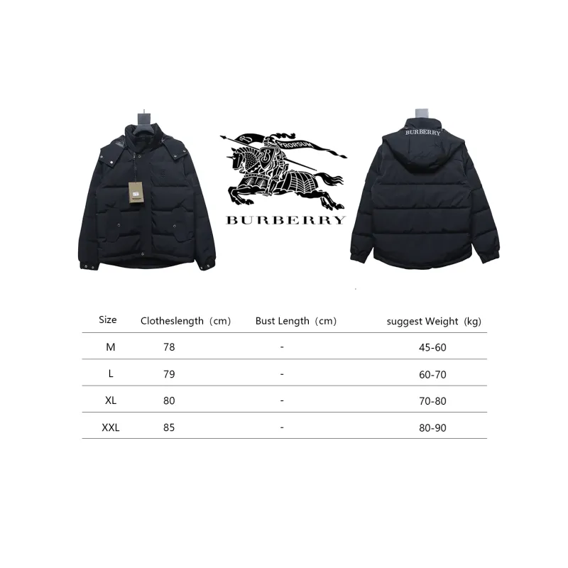 Top Quality Burberry 22FW Hooded Down Jacket Black 