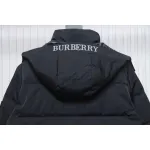Top Quality Burberry 22FW Hooded Down Jacket Black 