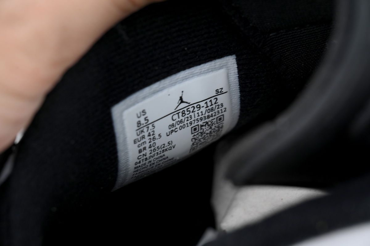 Air Jordan 6 “Reverse Oreo” CT8529-112