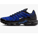 Pkgod Nike Air Max Plus Premium Men's Shoes (FQ7331-001）