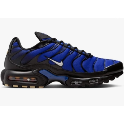 Pkgod Nike Air Max Plus Premium Men's Shoes (FQ7331-001） 02