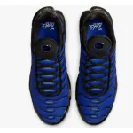 Pkgod Nike Air Max Plus Premium Men's Shoes (FQ7331-001）