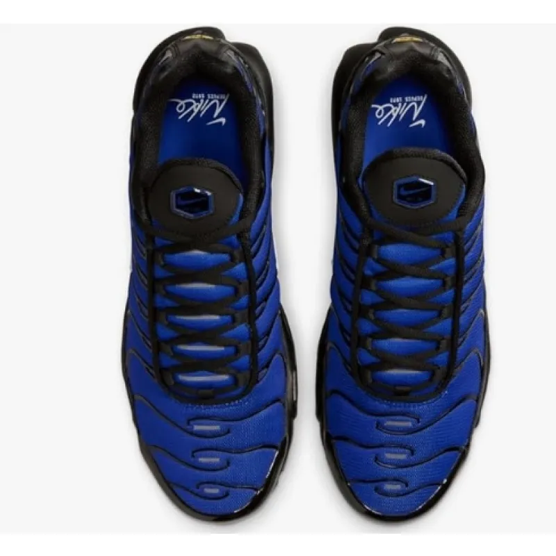 Pkgod Nike Air Max Plus Premium Men's Shoes (FQ7331-001）