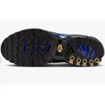 Pkgod Nike Air Max Plus Premium Men's Shoes (FQ7331-001）