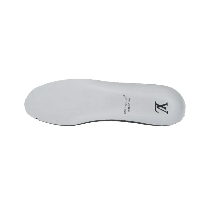 Louis Vuitton LV Skate Sneaker Black Gray