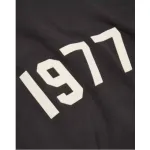 Top Quality Fear of God Essentials 1977 Hoodie Iron 