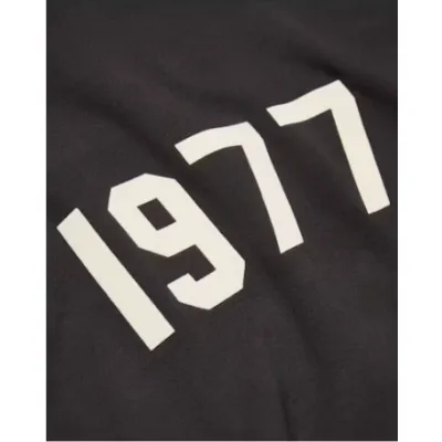 Top Quality Fear of God Essentials 1977 Hoodie Iron  02