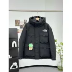 THE NORTH FACE Arctic Parka Jacket 'Black' 