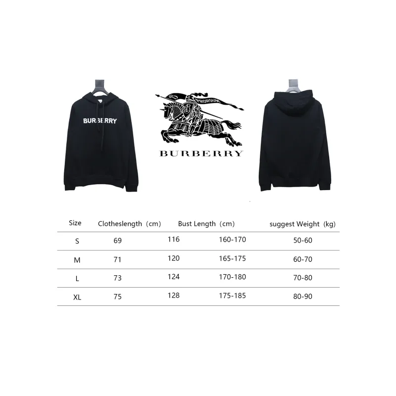 Top Quality Burberry Classic Letter Print Hooded Sweater 