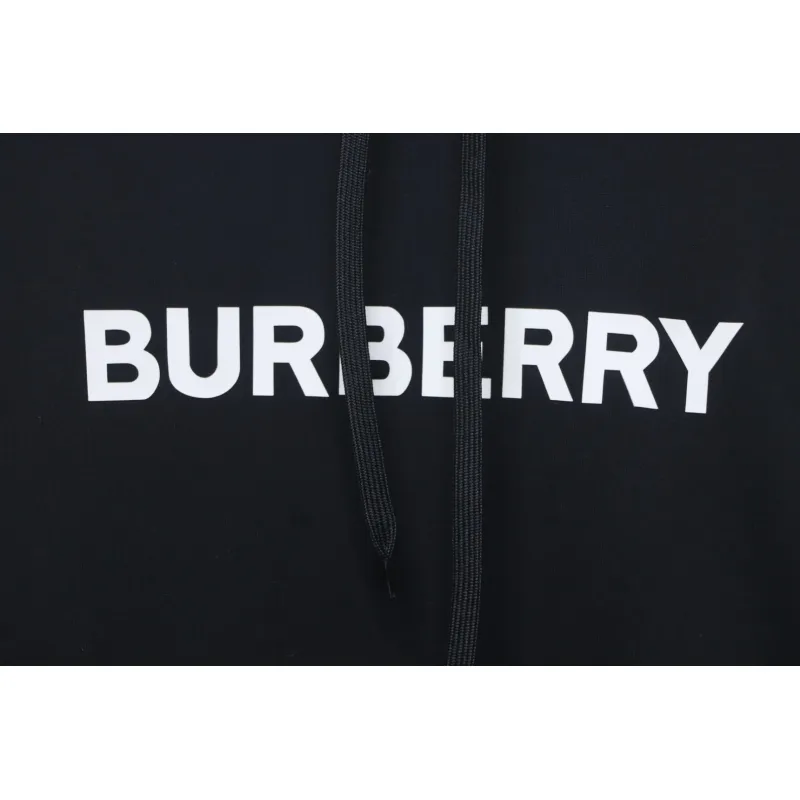 Top Quality Burberry Classic Letter Print Hooded Sweater 