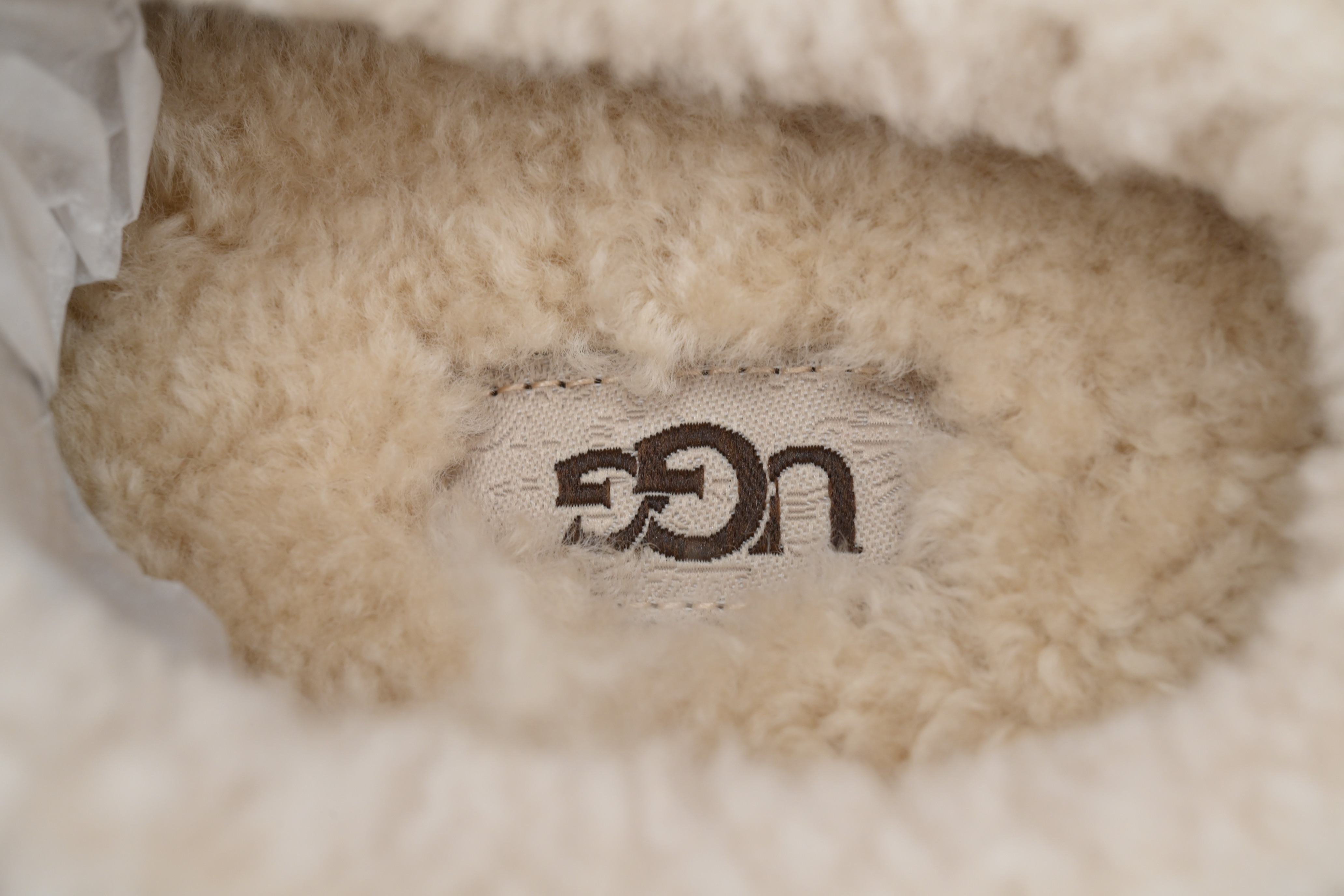 Pkgod UGG Maroon 1155888