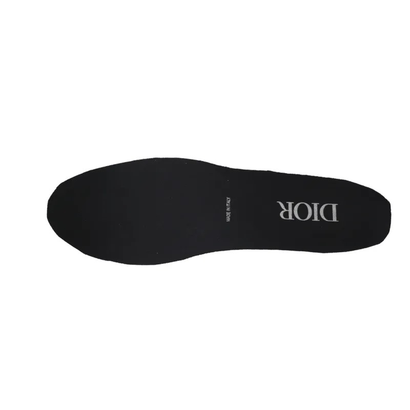 Dior B22 Sneakers Black Laser CK240809