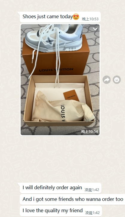 Louis Vuitton LV Skate Sneaker Grey