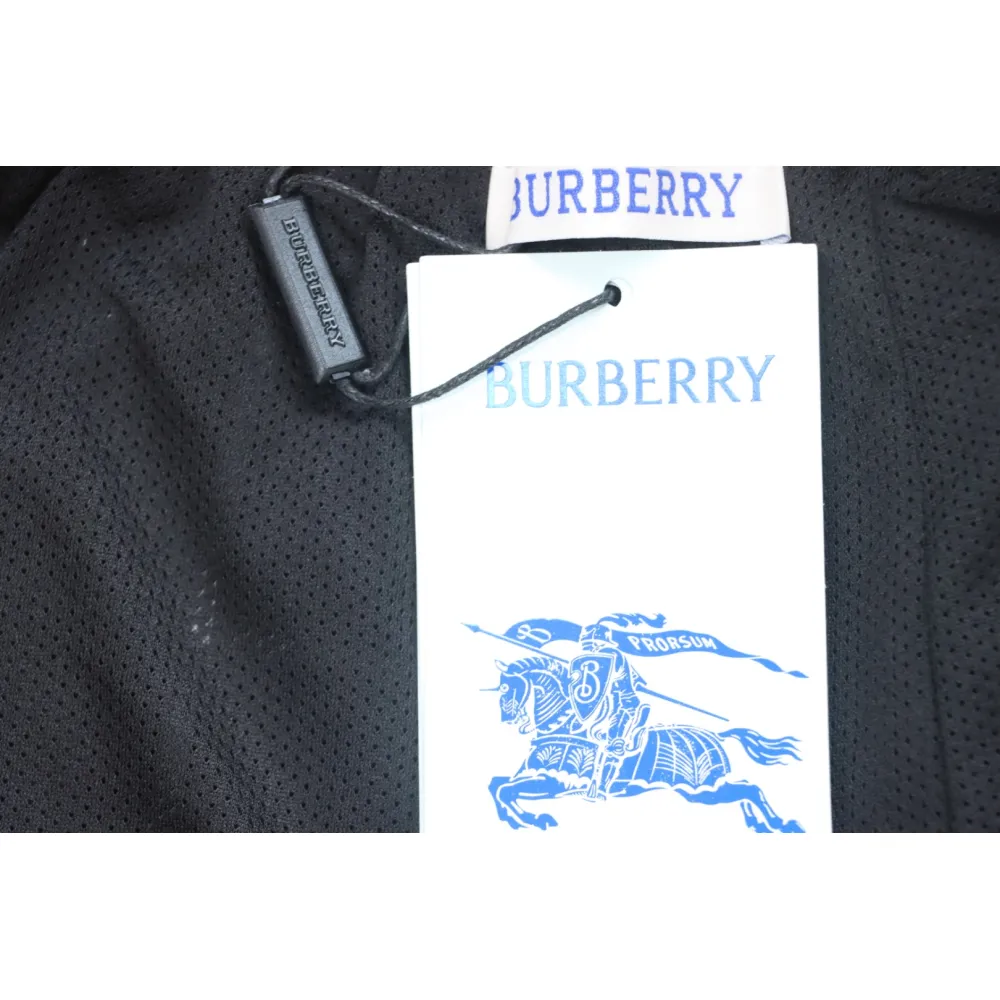 Top Quality Burberry Classic Check Casual Beach Shorts