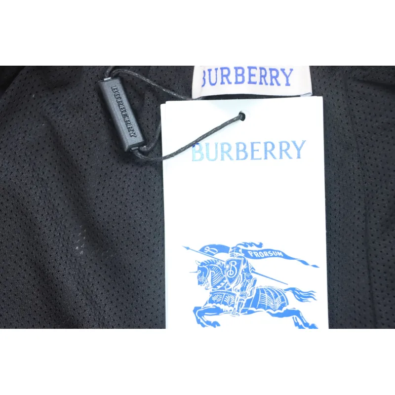 Top Quality Burberry Classic Check Casual Beach Shorts