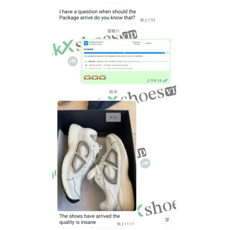 Dior B30 White 