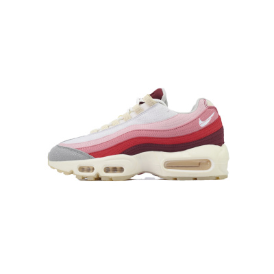 Nike Air Max 95 Anatomy of Air GID DM0012-600  Best Deal 01