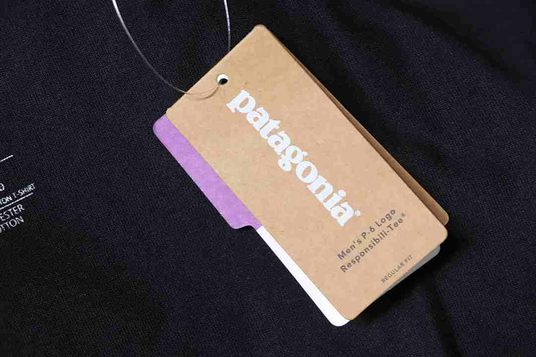      Patagonia P-6 Logo Responsibili-Tee T-Shirt - Black