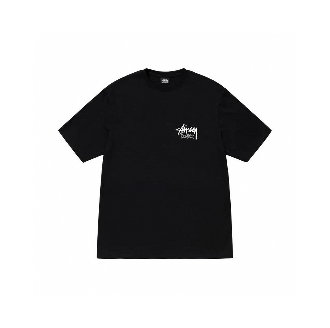     Stussy Big Stock T-shirt XB989