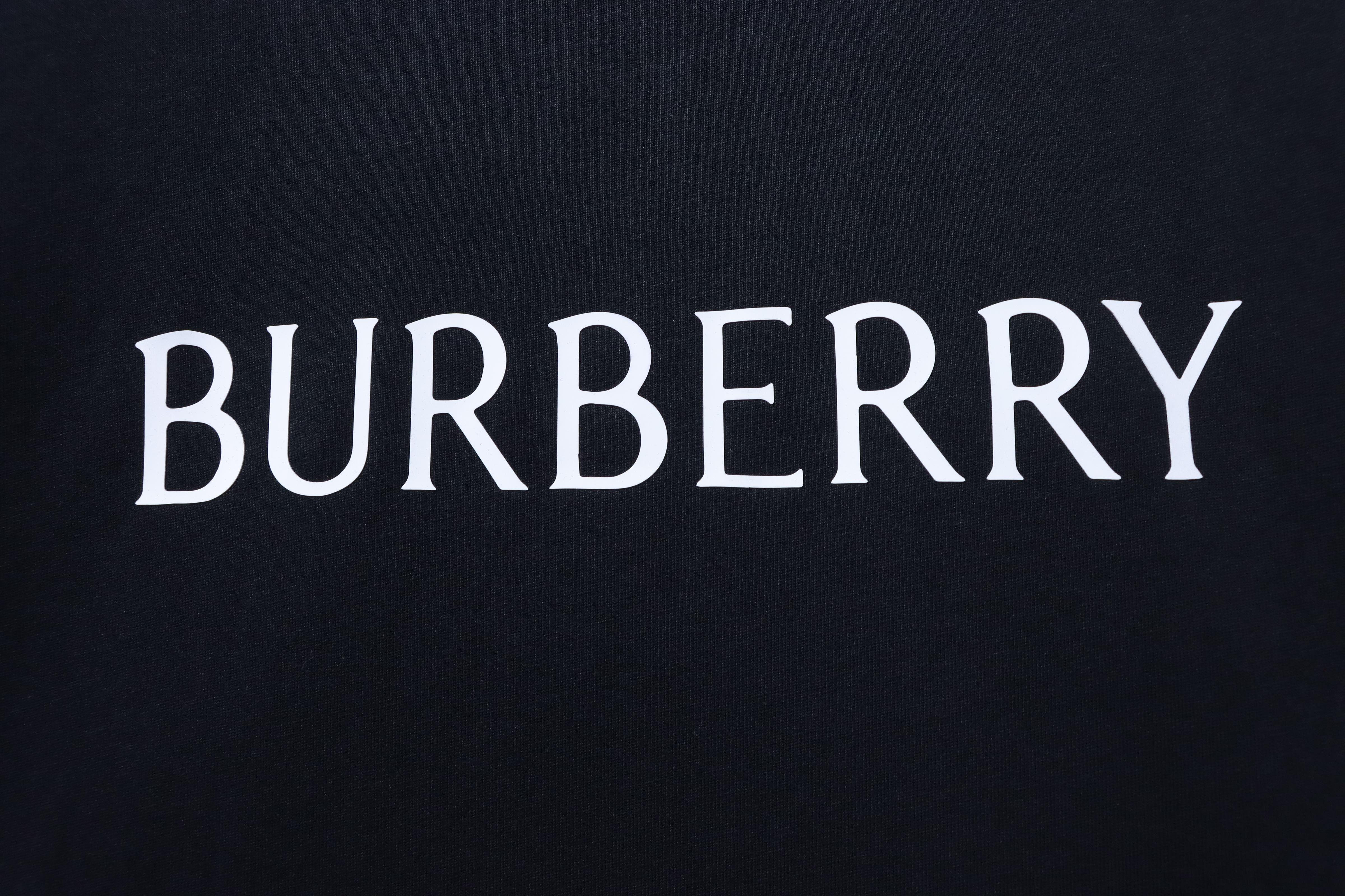    Burberry Classic Rubber Logo Crewneck T-Shirt 02