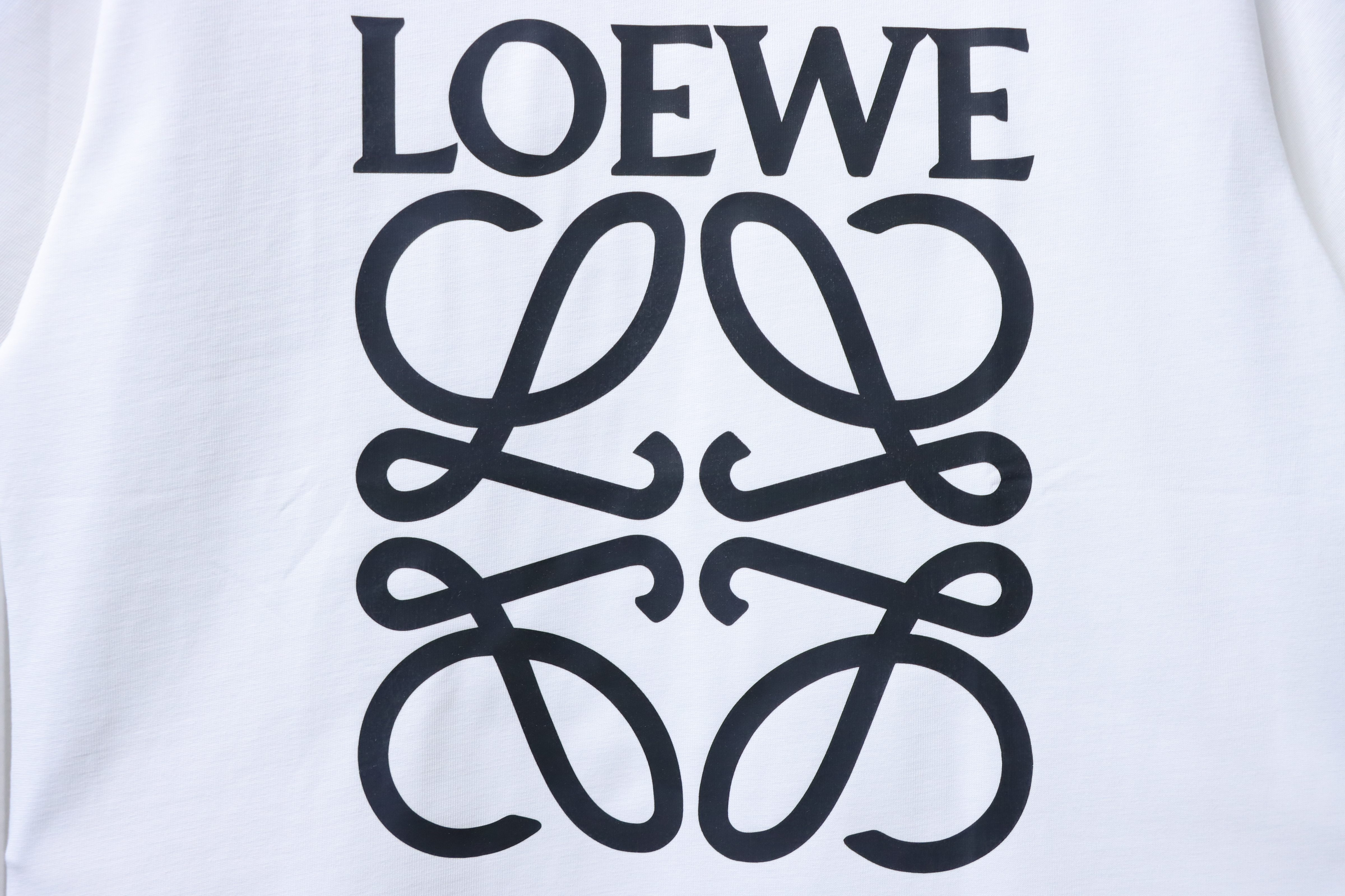  Loewe Print T-Shirt-DC3