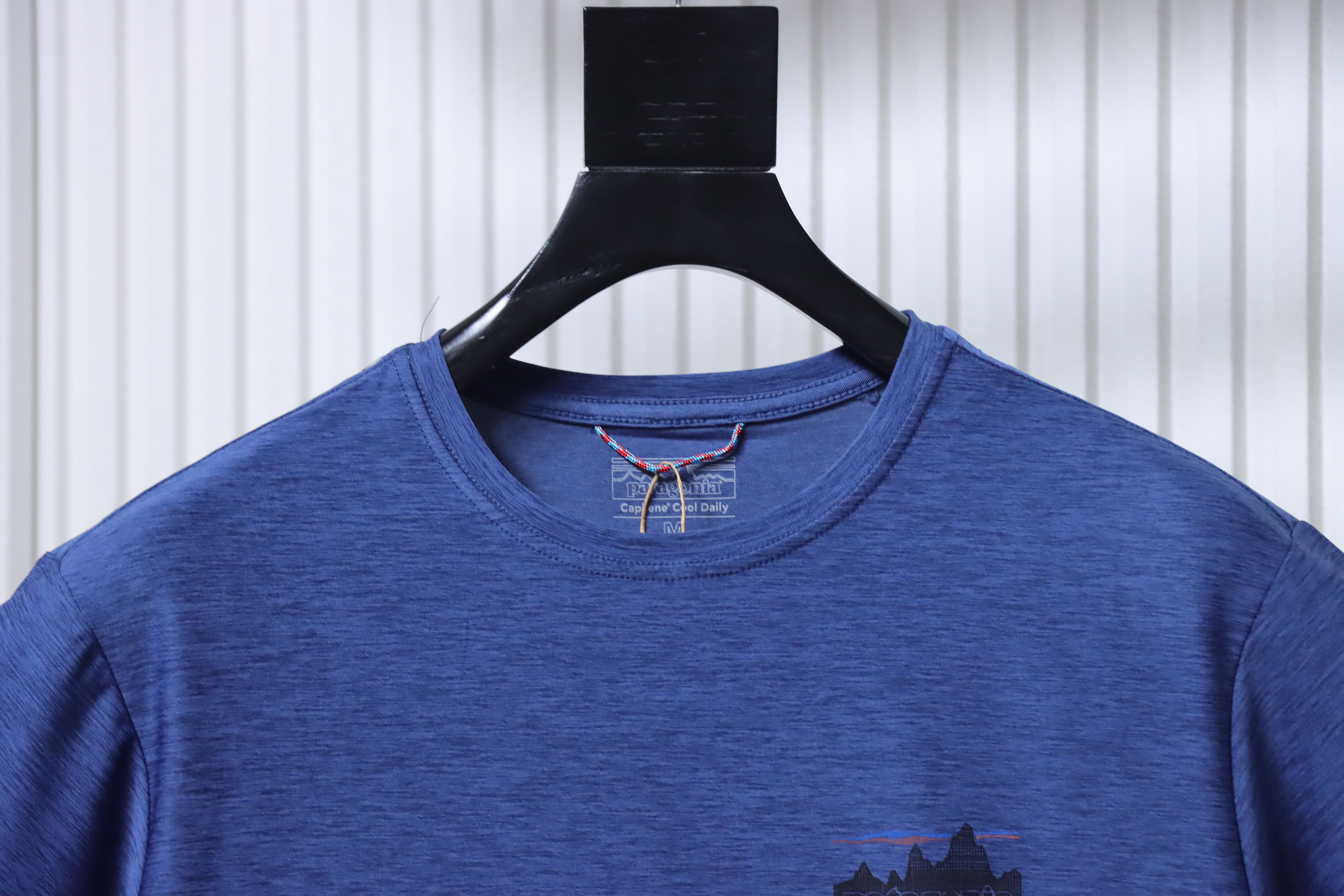 Patagonia Cap Cool Daily Graphic T-Shirt Blue