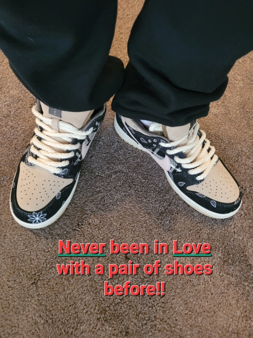 Pkgod Nike SB Dunk Low Travis Scott CT5053-001 (Special Box)  review 