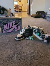  Pkgod Nike SB Dunk Low Travis Scott (Special Box) review 1