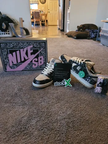  Pkgod Nike SB Dunk Low Travis Scott (Special Box) review Brian Winter 02