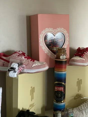 Pkgod Nike SB Dunk Low Strange Love Skateboards review Mehdi  02