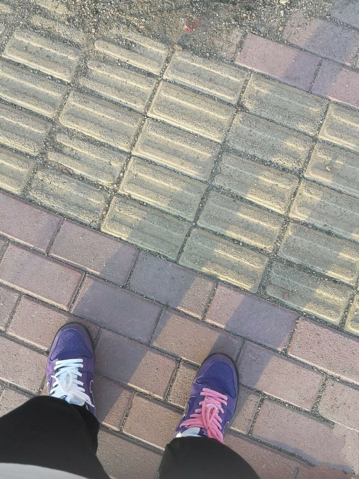 Pkgod Nike SB Dunk Low Pro OG QS Purple Lobster（Special Box) review Cameron Charles