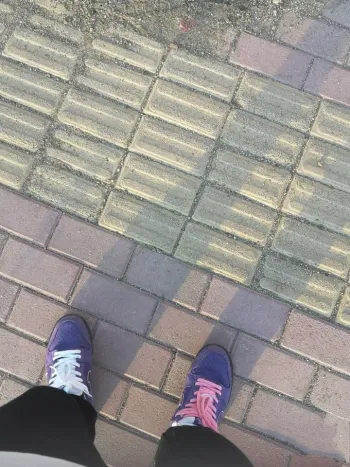 Pkgod Nike SB Dunk Low Pro OG QS Purple Lobster（Special Box) review Cameron Charles