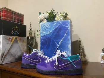 Pkgod Nike SB Dunk Low Pro OG QS Purple Lobster（Special Box) review Andrew Aranda