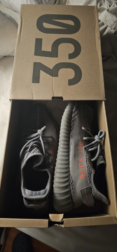    Pkgod Adidas Yeezy Boost 350 V2 Beluga 2.0 review 