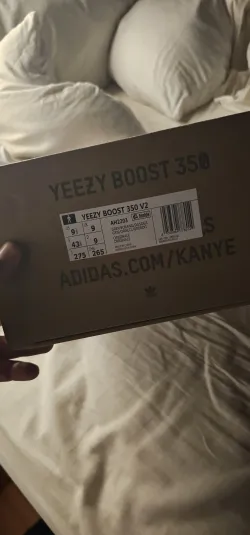 Pkgod Adidas Yeezy Boost 350 V2 Beluga 2.0 review Riky P 02