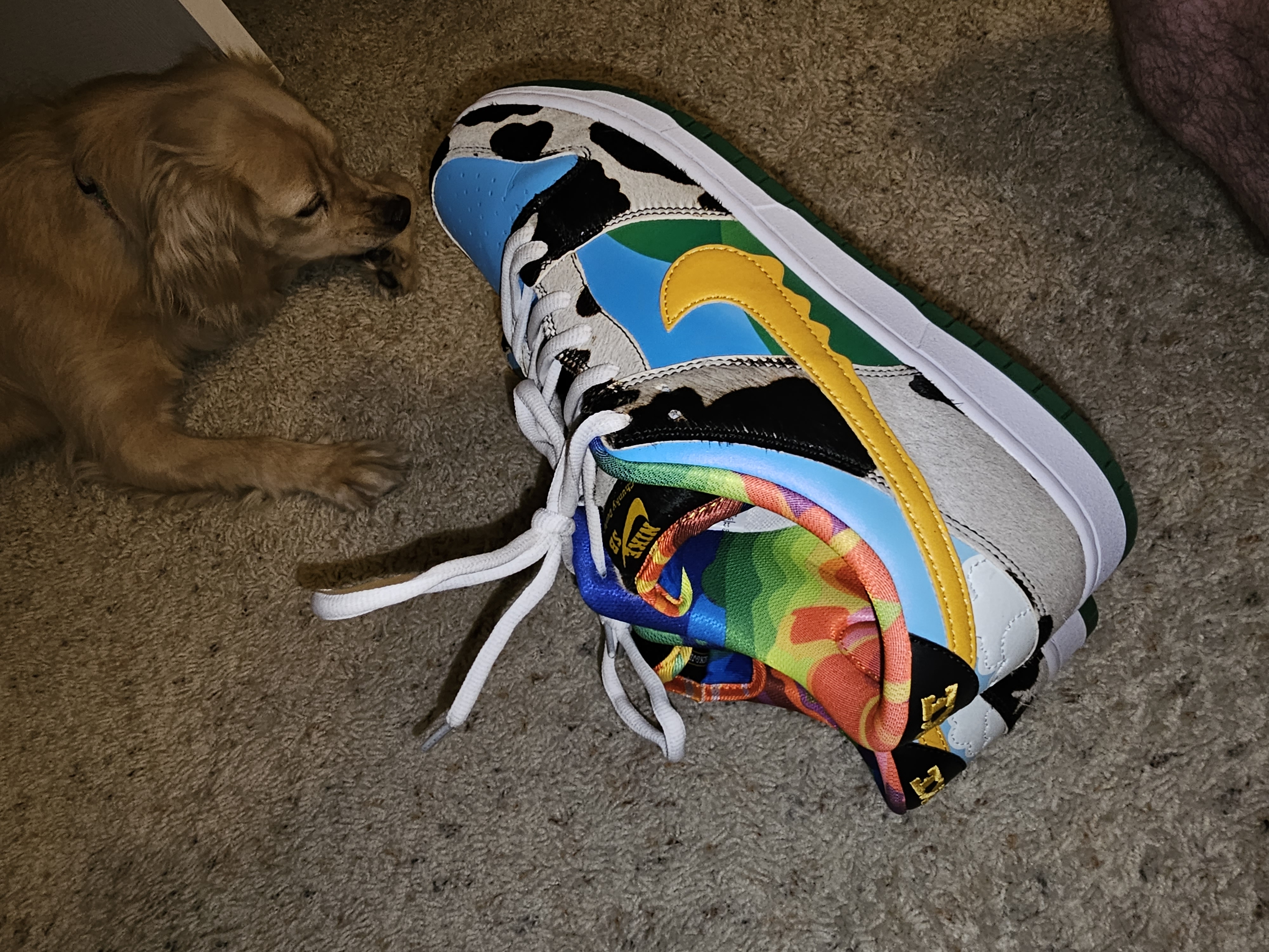  Pkgod Nike SB Dunk Low Chunky Dunky review Slimcali420 04
