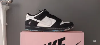 Pkgod Nike SB Dunk Low Staple Panda Pigeon review Bcockerham8508