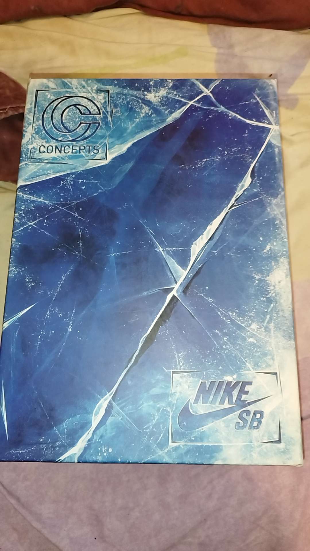 Pkgod Nike SB Dunk Low Pro OG QS Purple Lobster（Special Box) review Matis 01