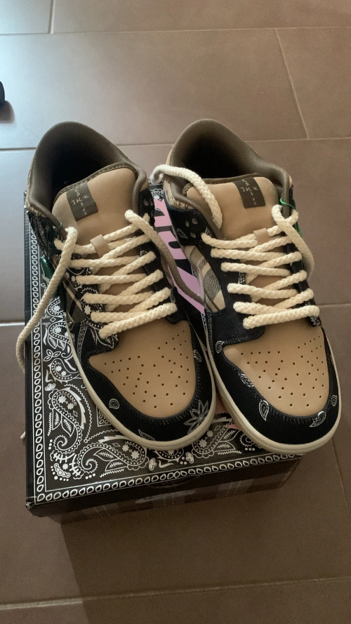 Pkgod Nike SB Dunk Low Travis Scott CT5053-001 (Special Box)  review 