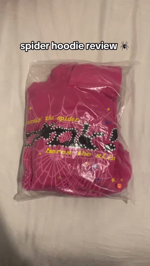    Sp5der P*nk Hoodie 'Pink' 2486-1SS210106PH-PINK review 