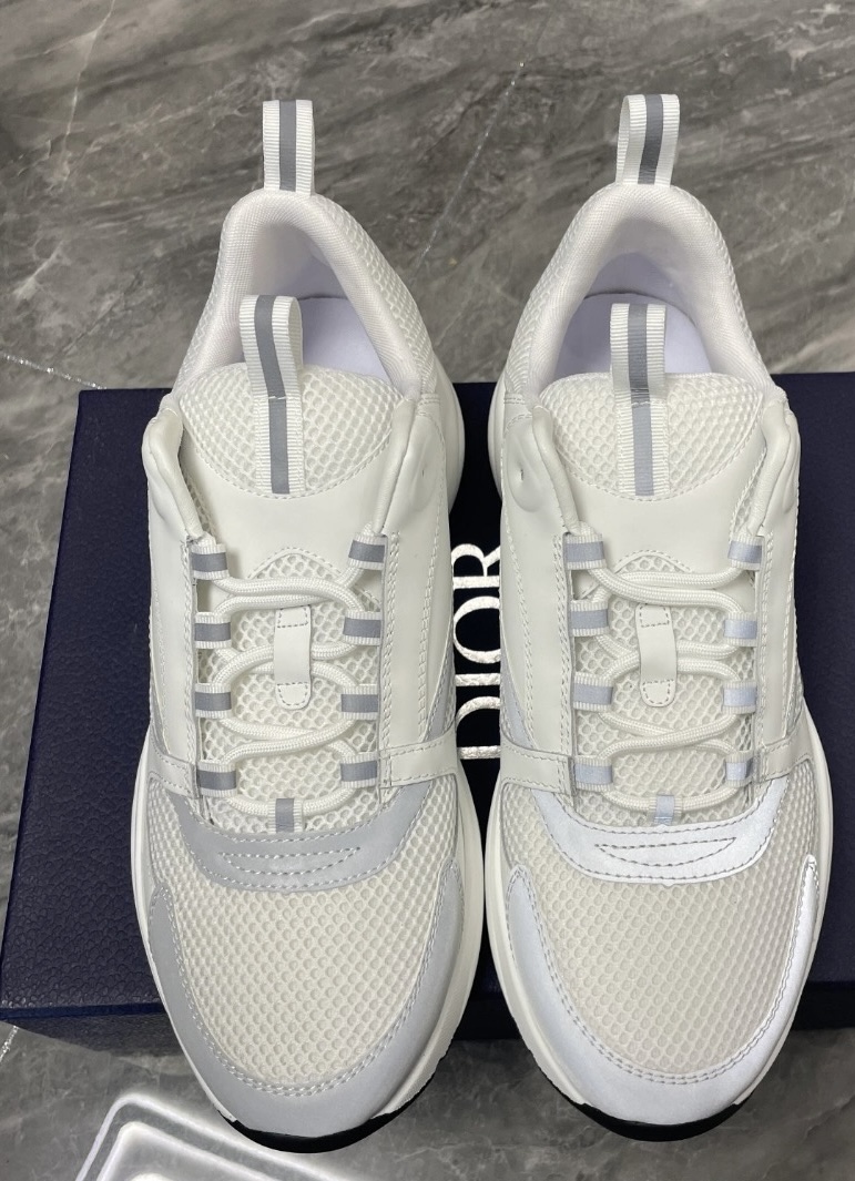    Dior B22 White Gray review 1