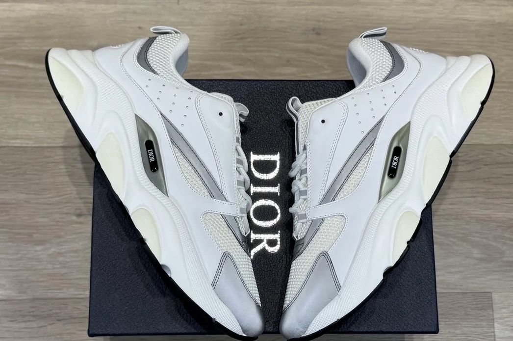    Dior B22 White Gray review 0