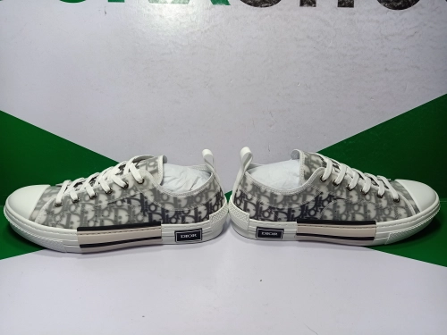 Best Dior B23 Low Top Logo Oblique QC Pictures